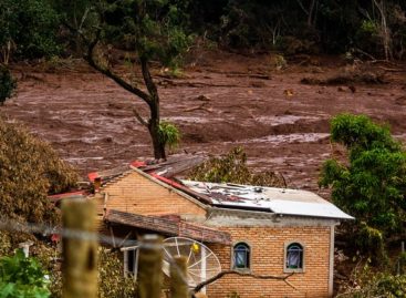 Tragédia de Brumadinho completa um mês nesta segunda (25)
