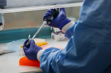 Novo coronavírus não foi criado em laboratório, conclui estudo