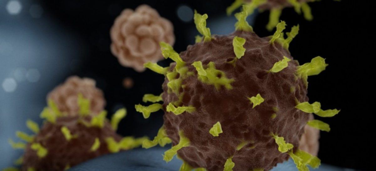 CNTSS/CUT realiza campanha em defesa dos trabalhadores dos serviços essenciais