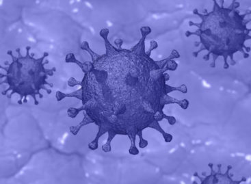 Coronavírus é mais letal entre negros, vítimas da doença e da desigualdade