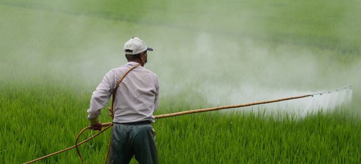Governo Bolsonaro libera mais agrotóxicos e ‘acelera tragédias enquanto agoniza’