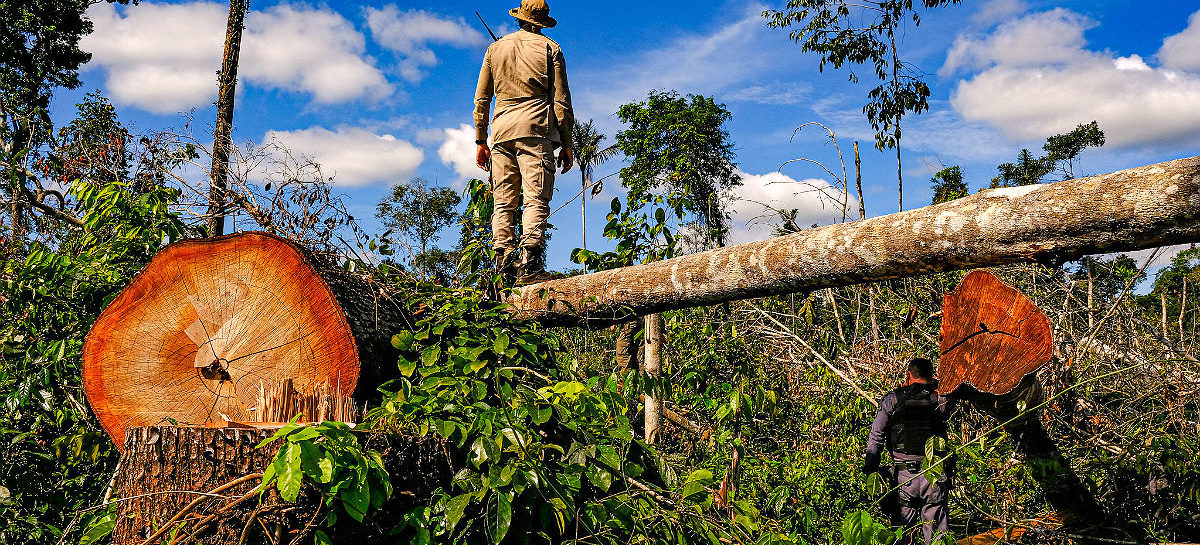 Dieese defende ‘empregos verdes’ para o pós-pandemia