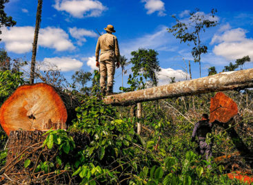 Dieese defende ‘empregos verdes’ para o pós-pandemia