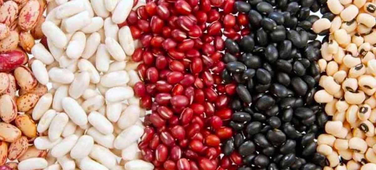 Dieese estima queda da cesta básica em nove capitais e alta em oito. São Paulo fica estável