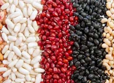 Dieese estima queda da cesta básica em nove capitais e alta em oito. São Paulo fica estável