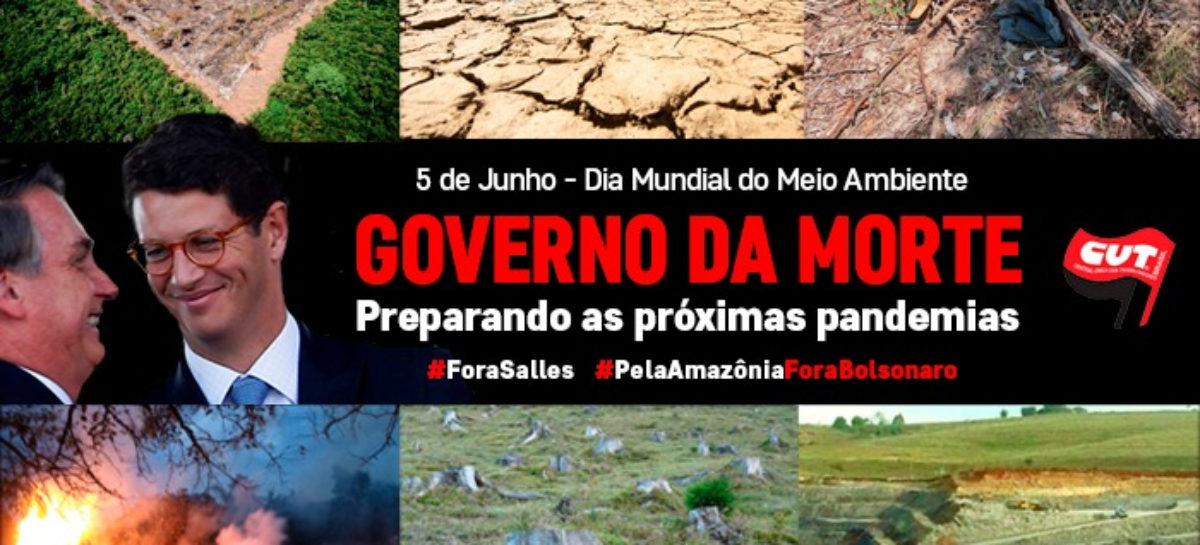 Dia Mundial do Meio Ambiente é marcado por denúncias e mobilizações nas redes