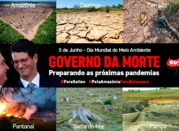 Dia Mundial do Meio Ambiente é marcado por denúncias e mobilizações nas redes