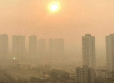 Surto de queimadas é ofuscado pela pandemia de covid-19