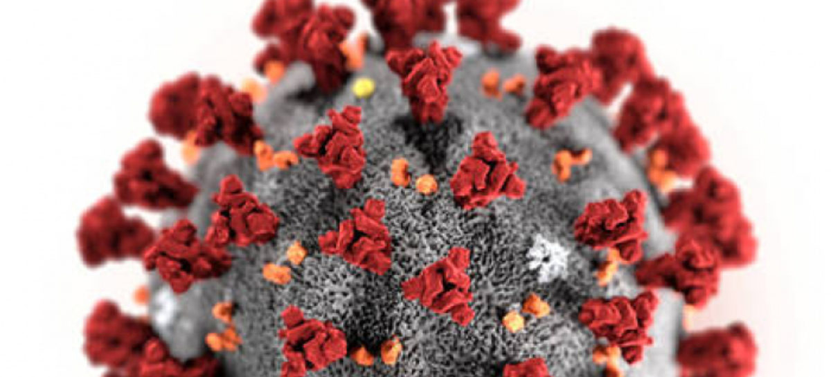 Mais de 98.650 mil pessoas já morreram de Covid-19 no Brasil