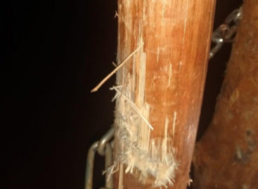 Homens armados tentam invadir aldeia onde vive o cacique Raoni