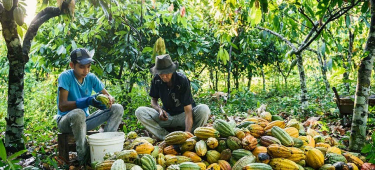 Bolsonaro veta pagamento de auxílio de R$ 600 a agricultores familiares