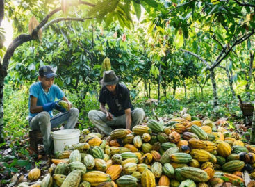 Bolsonaro veta pagamento de auxílio de R$ 600 a agricultores familiares