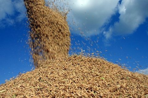 Como o MST consegue vender arroz a um preço justo em meio à alta do valor?