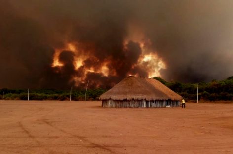 Atos denunciam desastrosa política ambiental de Bolsonaro; Confira agenda de SP