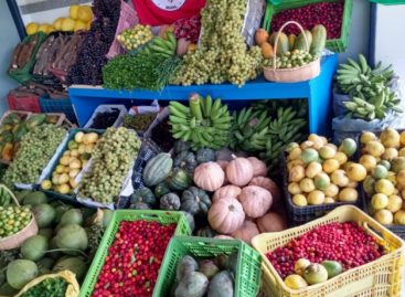 Segurança alimentar é obrigação prioritária do Estado