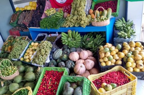 Segurança alimentar é obrigação prioritária do Estado