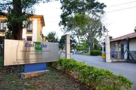 Entenda como a privatização da Embrapa pode fazer preços de alimentos subirem