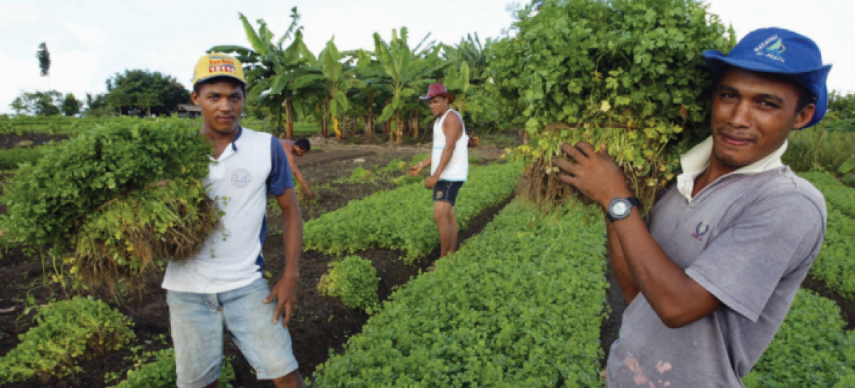 Enquanto a fome cresce no Brasil, Bolsonaro reduz recursos para agricultura familiar