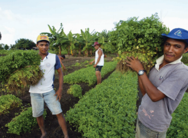 Enquanto a fome cresce no Brasil, Bolsonaro reduz recursos para agricultura familiar