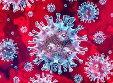 Pazuello diz que ainda vai demorar 60 dias para Anvisa aprovar vacinas