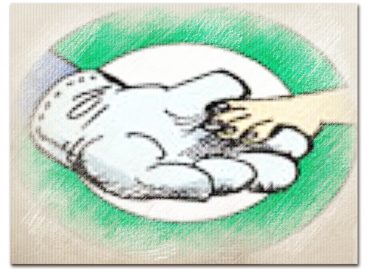 Furnas: Eleição de Cipa na Usina Luiz Carlos Barreto de Carvalho acontece no próximo dia 16