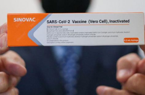 Vacina CoronaVac é eficaz contra as variantes mais graves do novo coronavírus, afirma Butantan