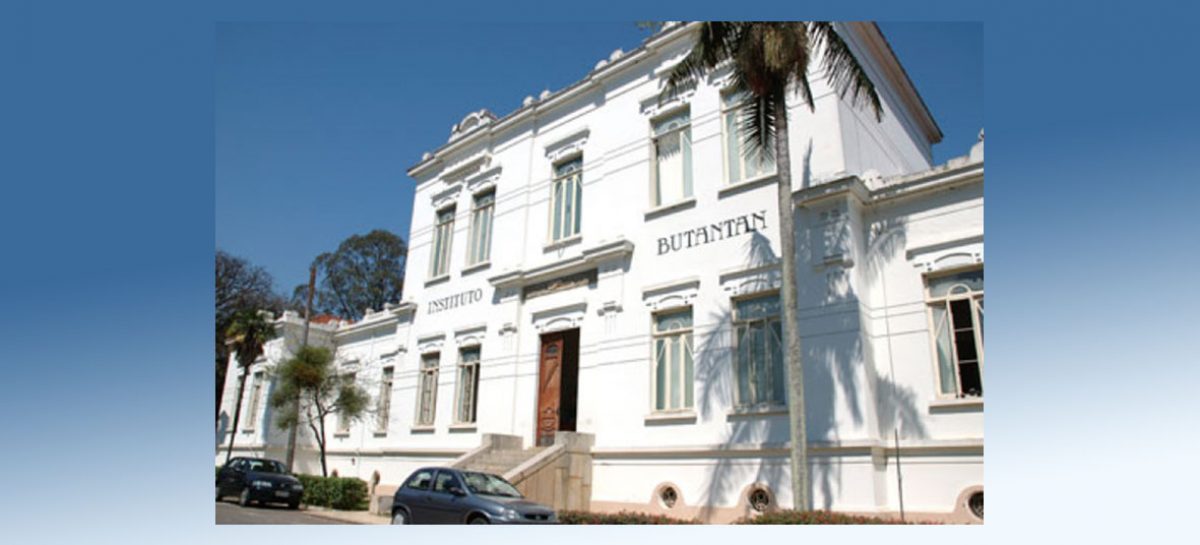 Butantan cria vacina e soro contra Covid e pede à Anvisa para fazer testes clínicos