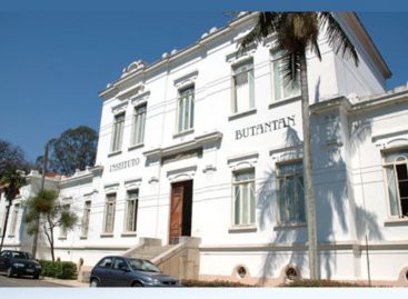 Butantan cria vacina e soro contra Covid e pede à Anvisa para fazer testes clínicos