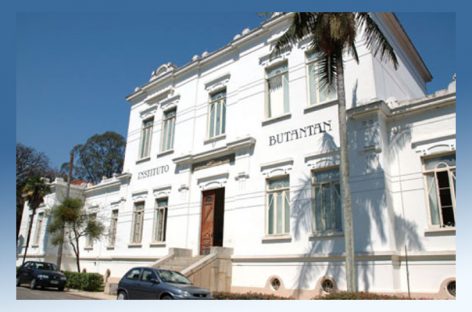 Butantan cria vacina e soro contra Covid e pede à Anvisa para fazer testes clínicos