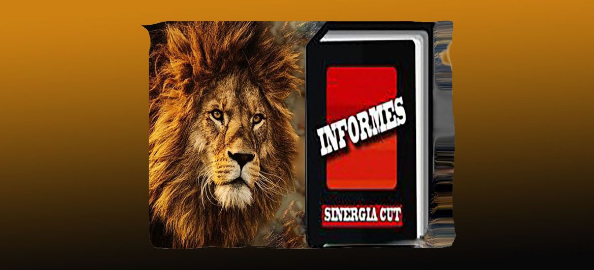 Orientações de como fazer a declaração do Imposto de Renda referentes aos Processos Coletivos do Sindicato de 2020