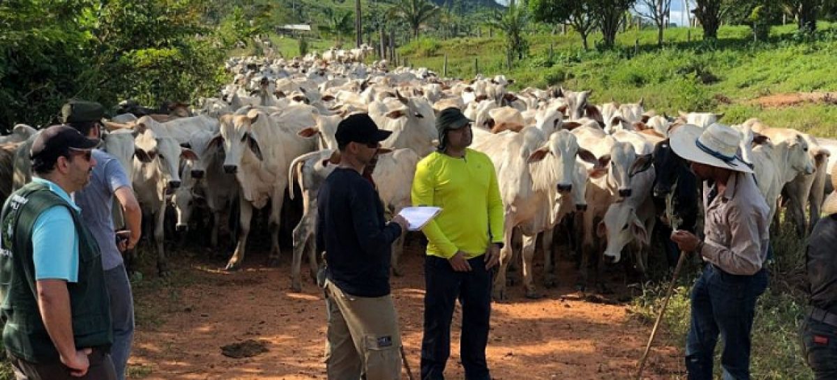 “Lista suja” é divulgada, mas desmonte freia combate à escravidão na pandemia