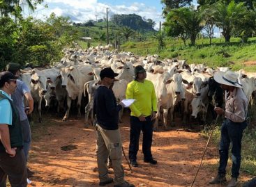 “Lista suja” é divulgada, mas desmonte freia combate à escravidão na pandemia