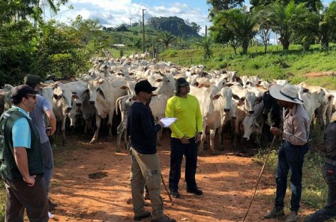 “Lista suja” é divulgada, mas desmonte freia combate à escravidão na pandemia