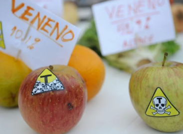 “Coquetel de veneno”: organizações denunciam risco crescente do uso de agrotóxicos