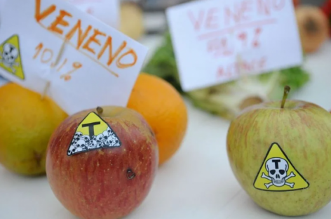 “Coquetel de veneno”: organizações denunciam risco crescente do uso de agrotóxicos