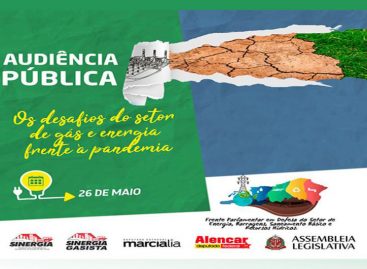 Audiência Pública trata sobre os desafios do setor de gás e de energia frente à pandemia