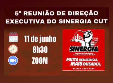 5ª Reunião de Direção Executiva do Sinergia CUT: grandes desafios do período