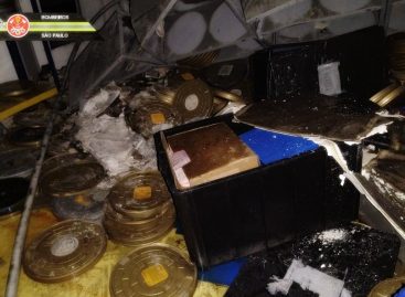 Negligência do governo federal em relação à Cinemateca é ‘um crime’, diz pesquisadora