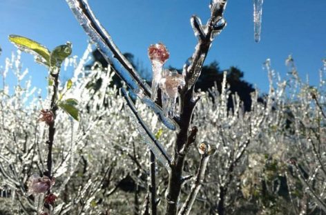 Com geadas, consumo de alimentos no país que já estava em queda, vai cair ainda mais