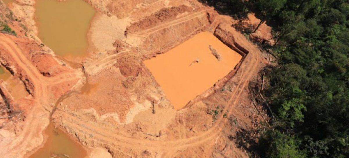 Ataques a áreas protegidas da Amazônia passam de 10 mil em um ano