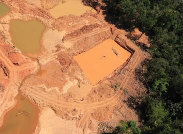 Ataques a áreas protegidas da Amazônia passam de 10 mil em um ano