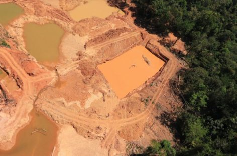 Ataques a áreas protegidas da Amazônia passam de 10 mil em um ano