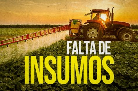 Senado debate falta de insumos para agricultura em 2022 e risco de faltar alimentos