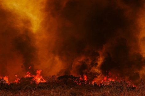 ONG austríaca lidera nova ação contra Bolsonaro no Tribunal de Haia