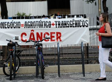 Confira os 17 pontos mais graves do novo decreto de Bolsonaro sobre agrotóxicos