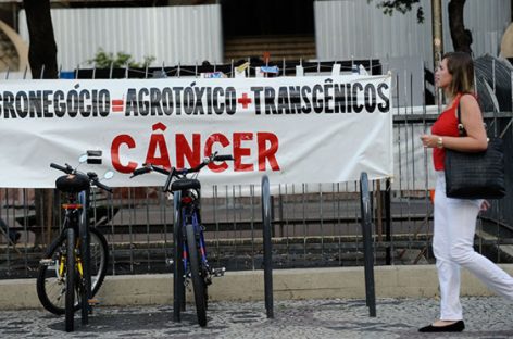 Confira os 17 pontos mais graves do novo decreto de Bolsonaro sobre agrotóxicos