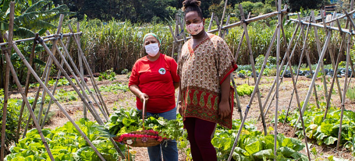 CUT-SP defende a permanência das 450 famílias do acampamento Marielle Vive