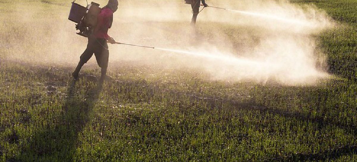 Fiocruz divulga nota crítica à aprovação do ‘Pacote do Veneno’