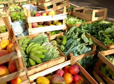 Em meio à fome, Bolsonaro ‘enterra’ programa de compra de alimentos