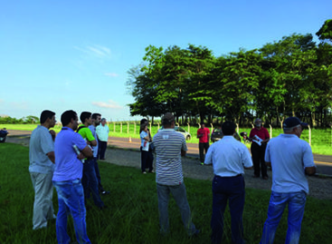 Contra leilão, trabalhadores da CESP param meio dia